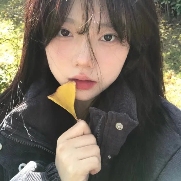 白雾谜岸